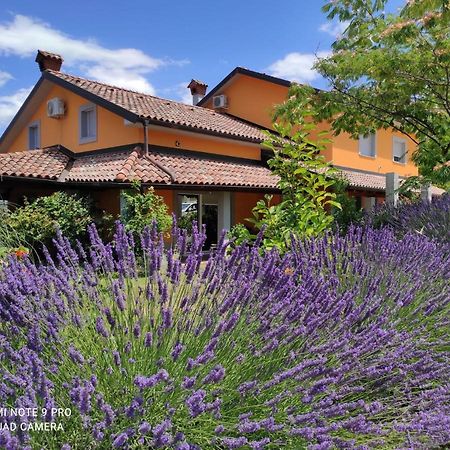 Apartma Lavanda Apartman Koper városi község Kültér fotó