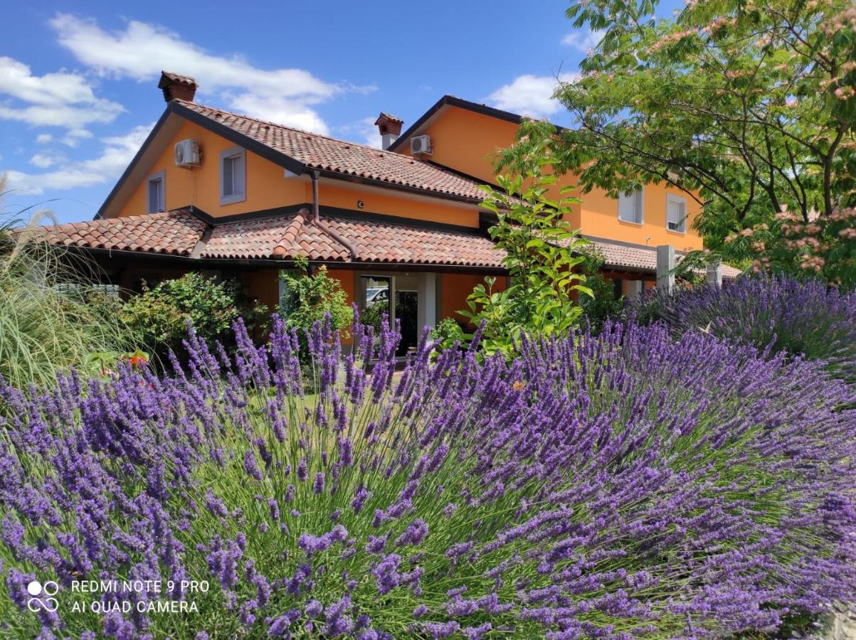 Apartma Lavanda Apartman Koper városi község Kültér fotó